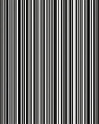 Bold Vertical Striped Design Rug