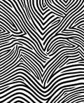 Bold Black and White Zebra Stripe Rug