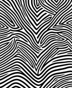 Bold Black and White Zebra Stripe Rug