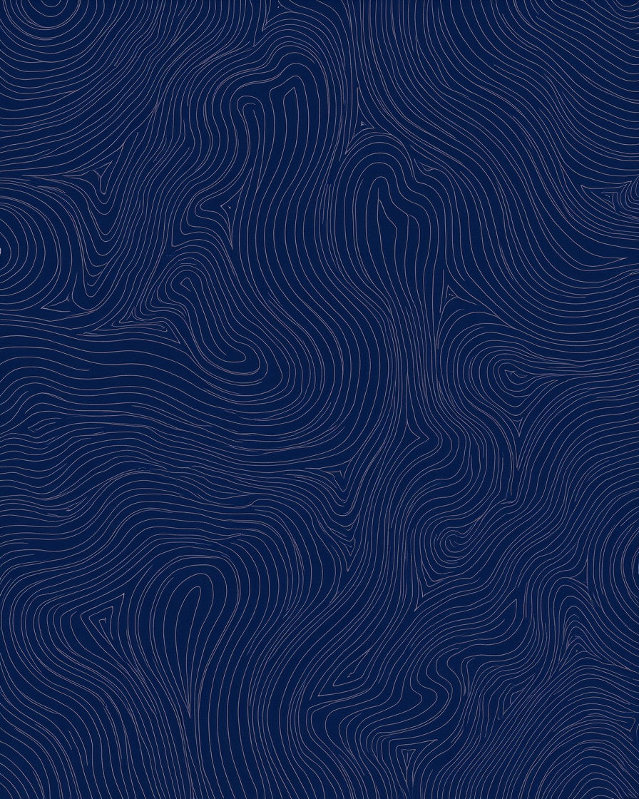 Navy Blue Swirling Topographic Lines Rug