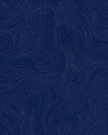 Navy Blue Swirling Topographic Lines Rug