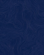 Navy Blue Swirling Topographic Lines Rug