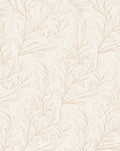 Delicate Botanical Outline Cream Rug