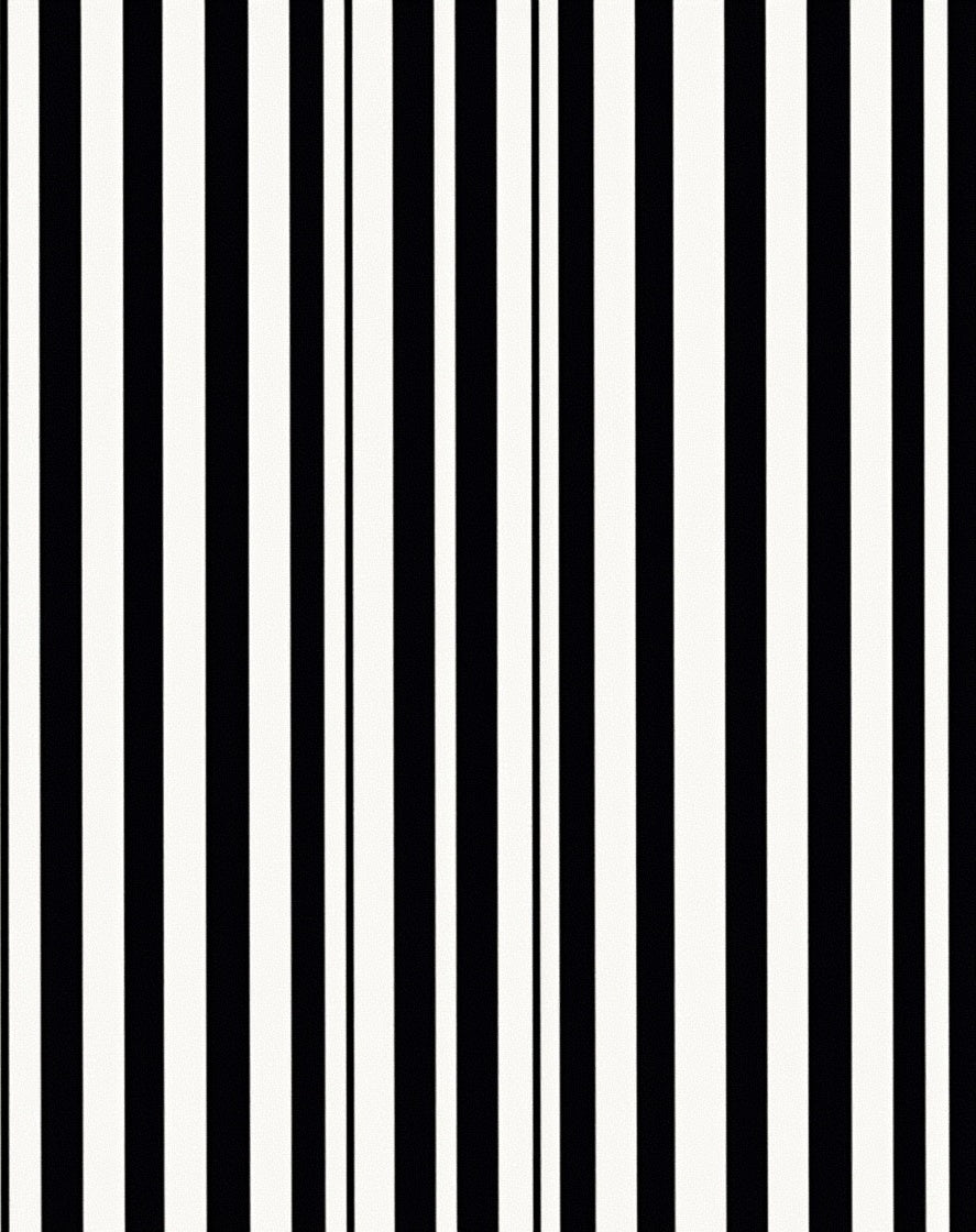 Bold Black White Stripes Rug
