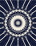 Striking Navy White Starburst Mandala Rug