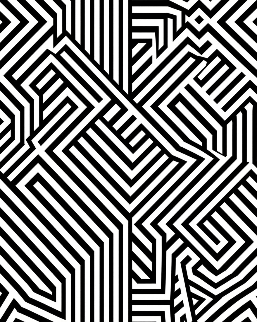 Black White Illusory Maze Pattern Rug