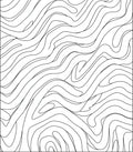 Contemporary Black White Organic Lines Rug