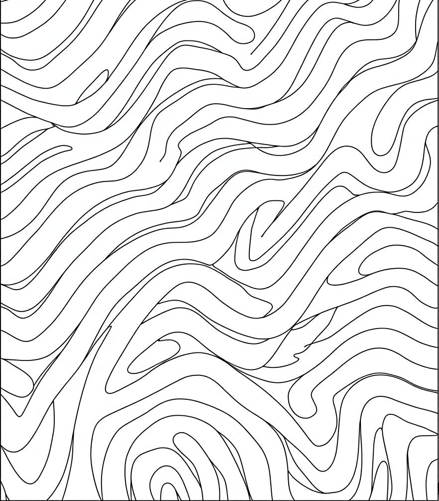Contemporary Black White Organic Lines Rug