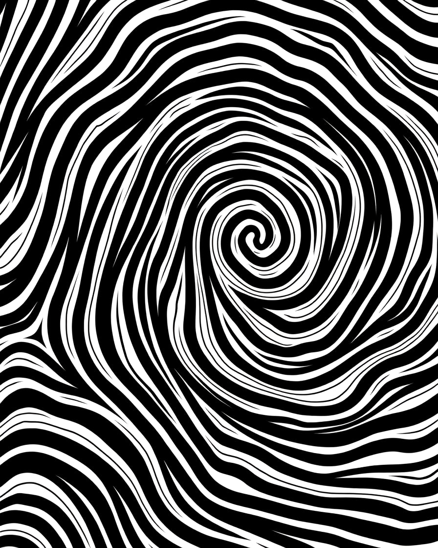 Black and White Swirl Pattern Rug