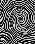 Black and White Swirl Pattern Rug