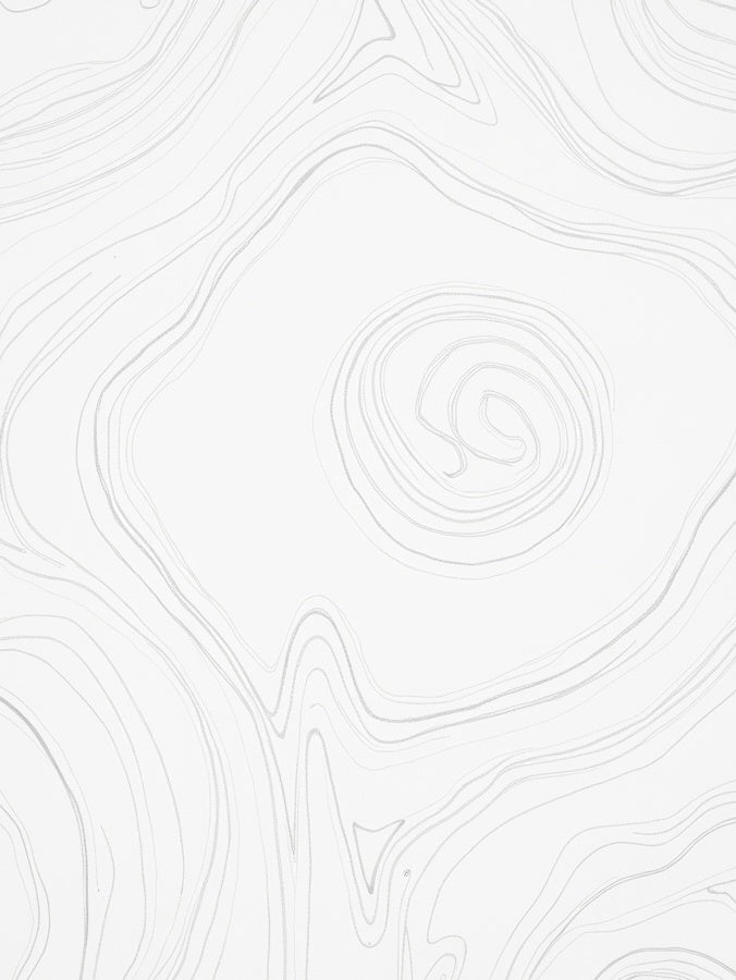 Abstract Swirls Organic Lines Rug