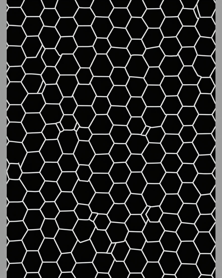 Graphic Hexagonal Black White Pattern Rug