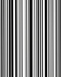 Bold Black White Striped Design Rug