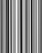 Bold Black White Striped Design Rug