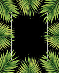 Lush Green Palm Leaf Tropical Border Rug