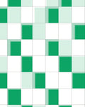 Shaded Green White Checkerboard Pattern Rug