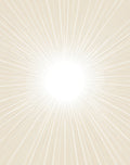 Radiant Sunburst Line Design Rug