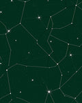 Deep Green Celestial Constellation Stars Rug