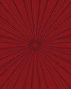 Red Sunburst Abstract Lines Rug