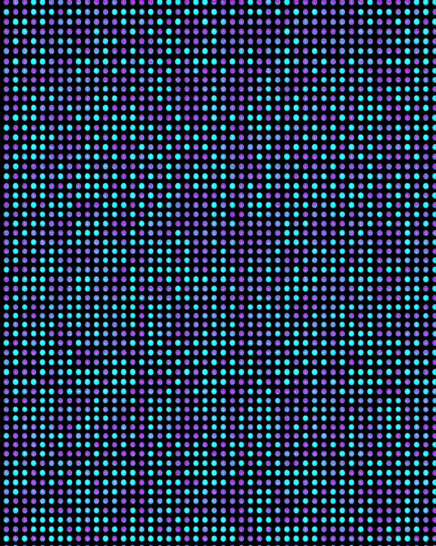 Cosmic Circle Grid Design Rug
