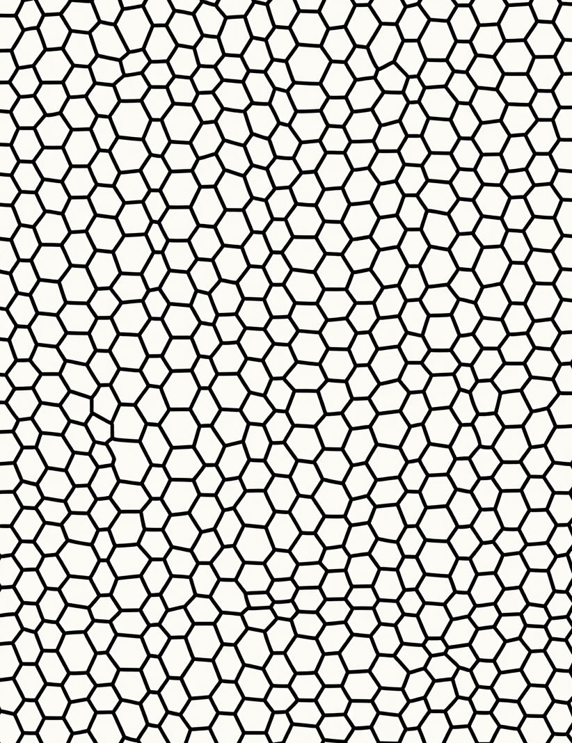 Abstract Black White Hexagon Pattern Rug