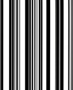 Bold Black White Stripe Pattern Rug