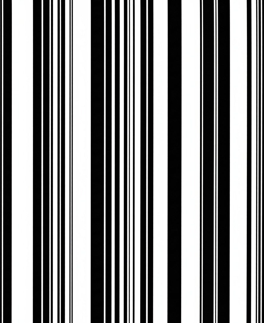 Bold Black White Stripe Pattern Rug
