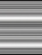 Minimalist Black White Stripe Rug