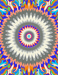 Vibrant Radial Patterned Abstract Rug
