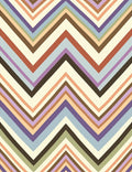 Muted Color Chevron Stripe Pattern Rug