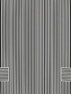 Bold Monochrome Stripe Pattern Rug