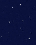Night Sky Star Pattern Rug