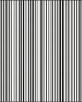 Bold Contemporary Vertical Stripes Rug