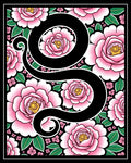 Bold Floral Swirl Pink Black Rug