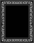 Classic White Floral Scroll Border Design Rug