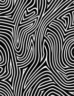 Abstract Black White Organic Lines Rug
