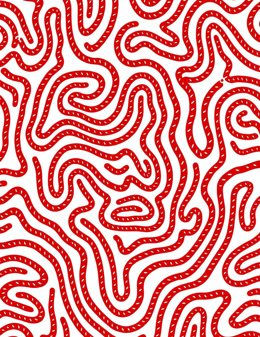 Bold Red Rope Maze Rug