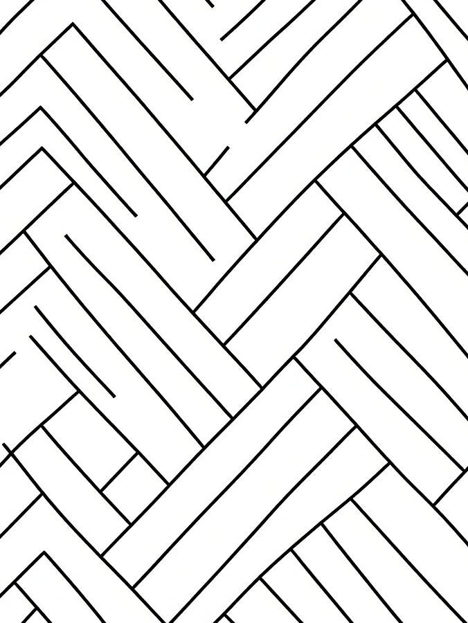 Monochrome Intersecting Geometric Lines Rug