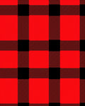 Classic Red Black Buffalo Check Pattern Rug