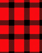 Classic Red Black Buffalo Check Pattern Rug