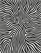 Modern Wavy Black White Pattern Rug