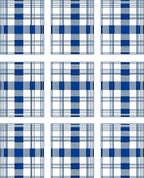Classic Blue White Gingham Plaid Rug
