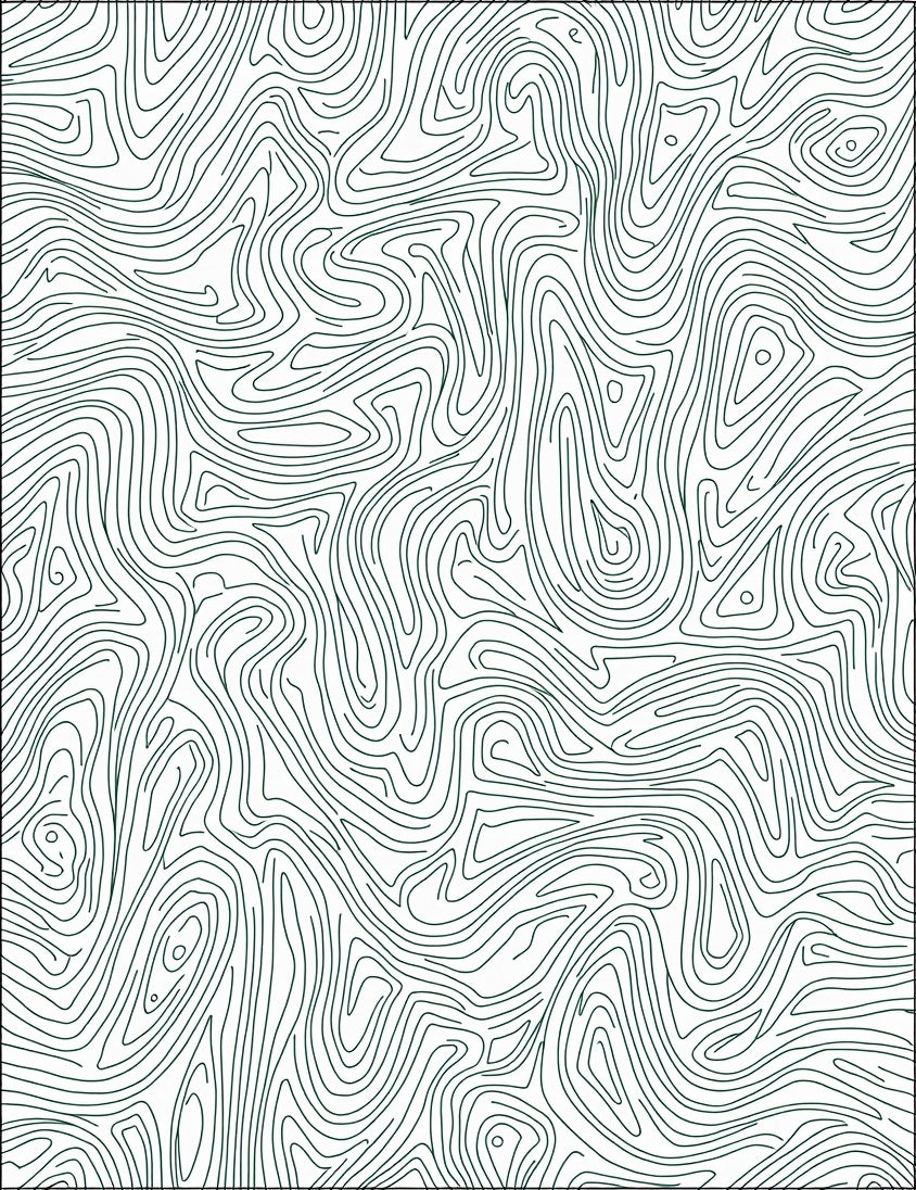 Abstract Contour Map Pattern Rug