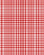 Classic Red White Gingham Pattern Rug