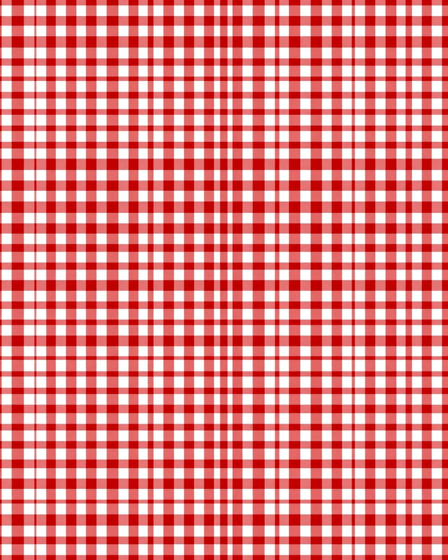 Classic Red White Gingham Pattern Rug