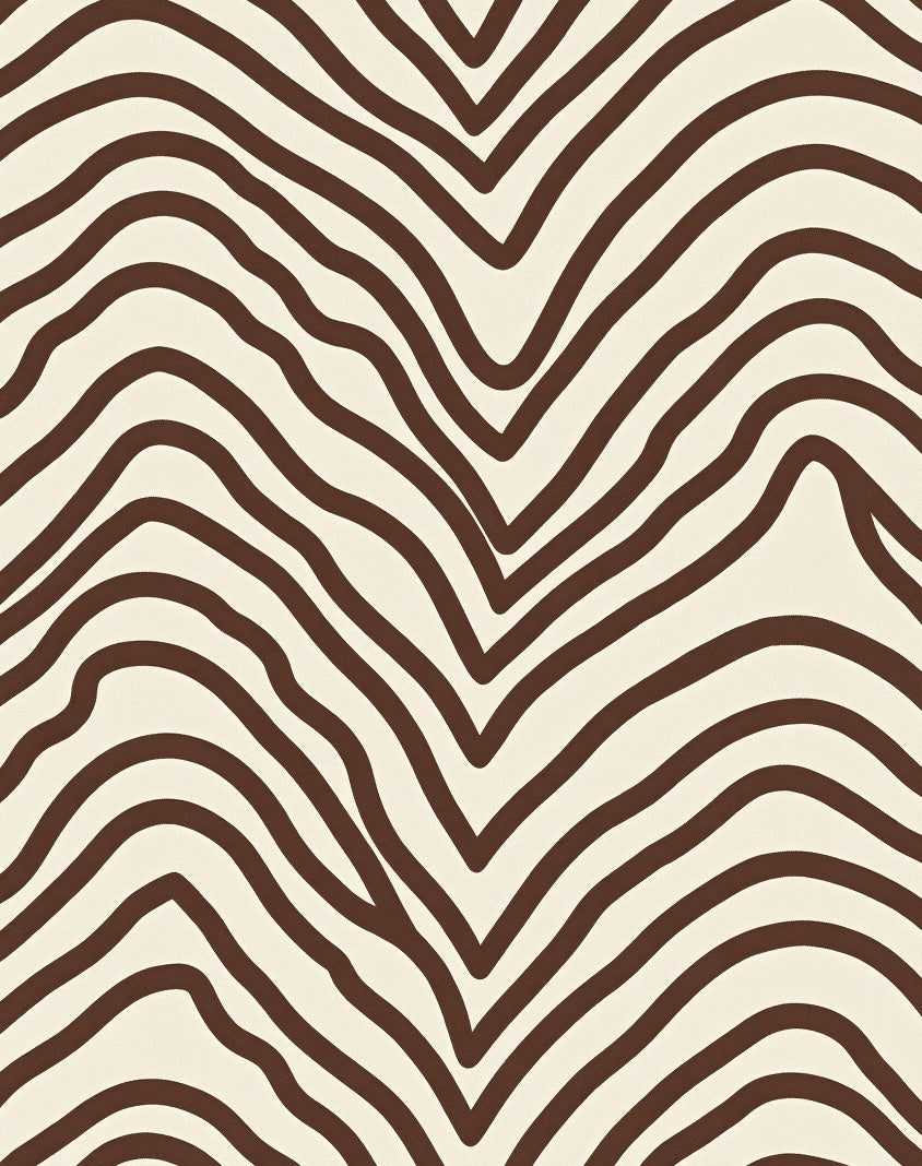 Brown And Cream Zebra Stripe Pattern Rug