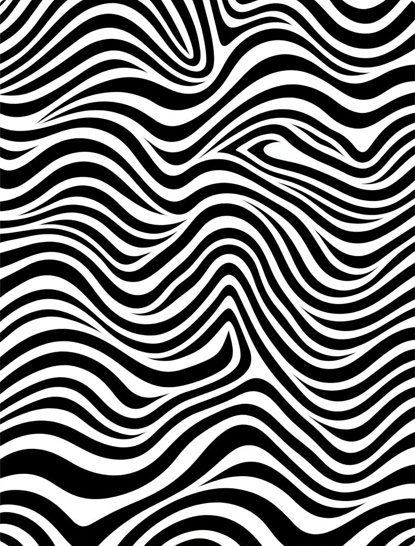 Optic Wave Black White Pattern Rug
