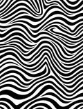 Optic Wave Black White Pattern Rug