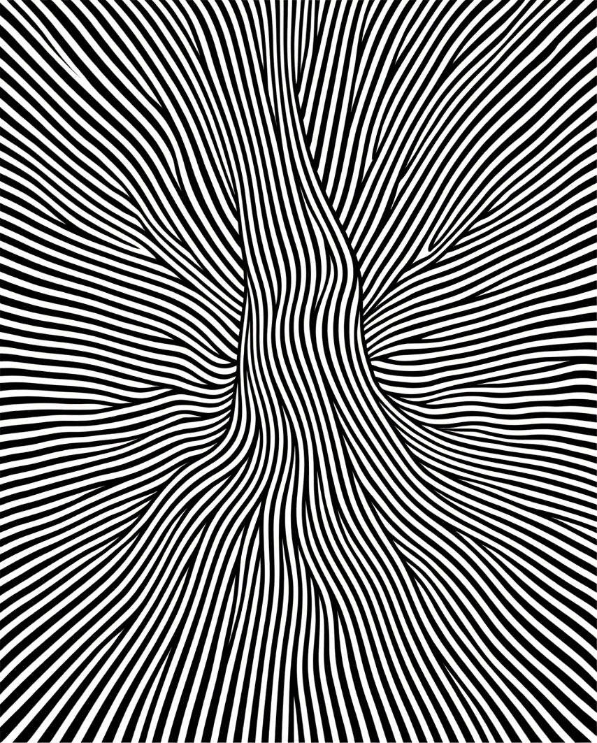 Black White Optical Illusion Stripes Rug