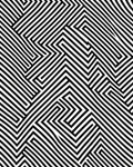 Sharp Black White Geometric Maze Rug